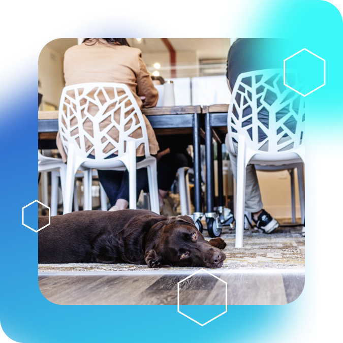 two stable kernel employes sitting next to each other